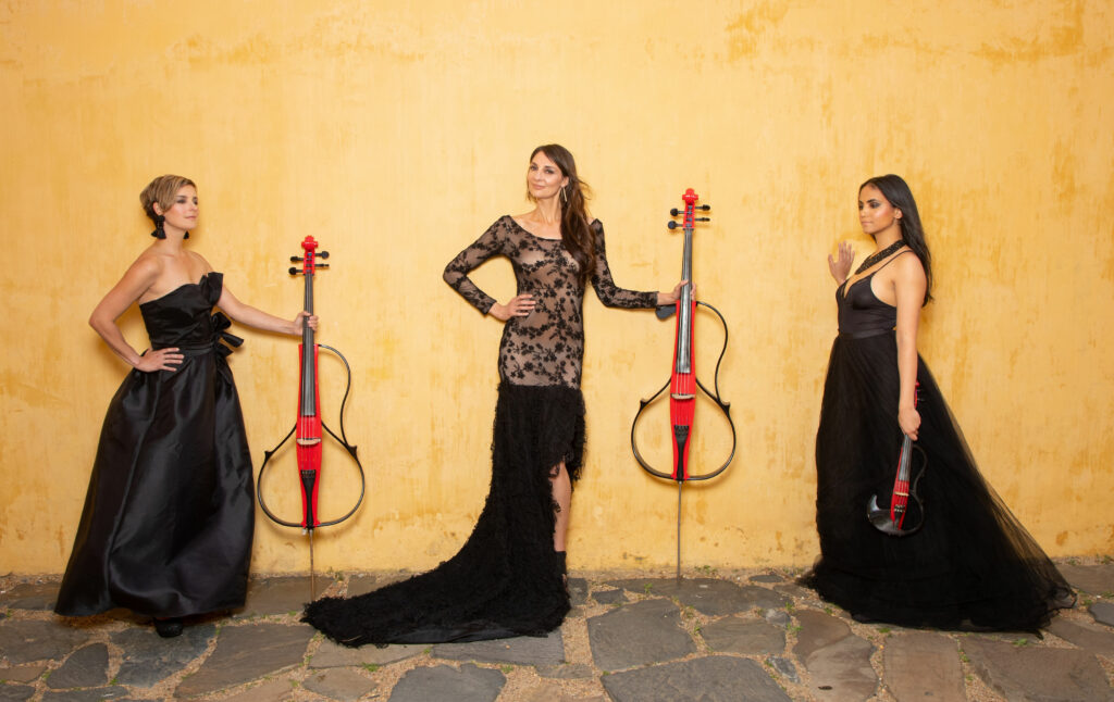 Rosanthorn - Electric String Group Cape Town
